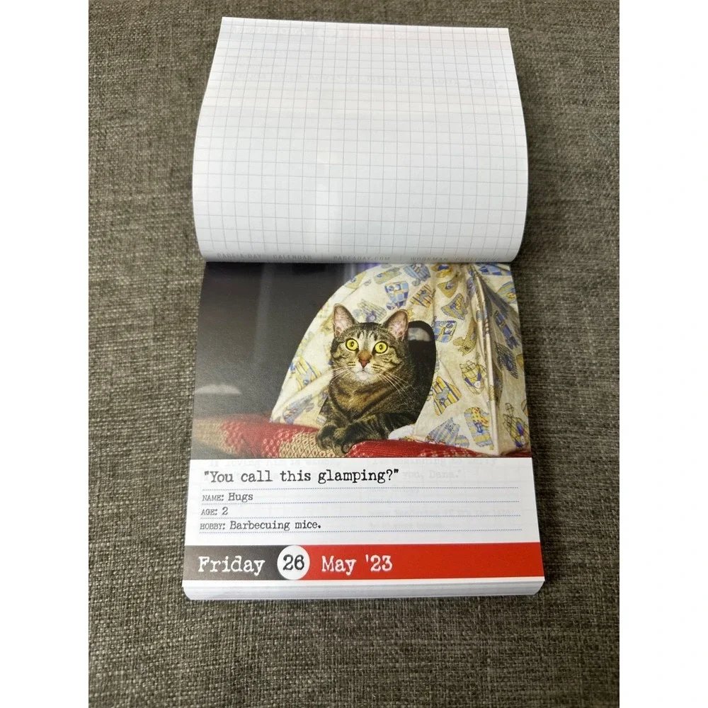 Bad Cat 2023 Page-A-Day Calendar Not-So-Pretty Kitties & Funny Quotes Pack of 3